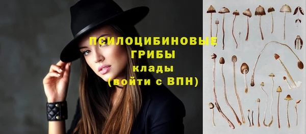 соль ск Волоколамск